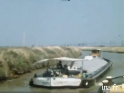 Bassens 107.JPG