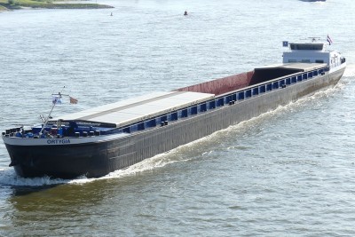Ortygia-1-27-08-2024-Nijmegen.JPG
