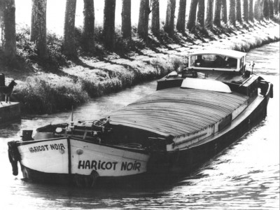 Haricot Noir 301 Aval de Fresquel.jpg