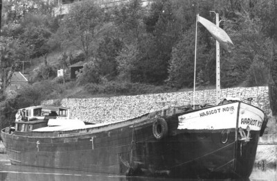Haricot Noir 302 Agen.jpg