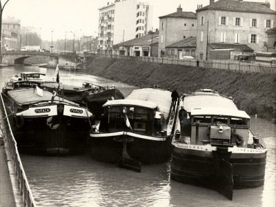 Paraza 101.jpg