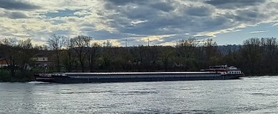 20250319_095013.jpg