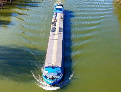 2025-03-20 12_22_49-Greenshot_vagus.jpg