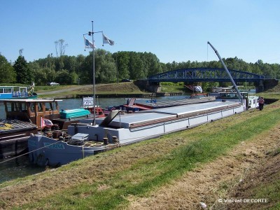 003 - 800.jpg