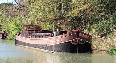 20250410_171338.jpg (173.07 Kio) Vu 1561 fois 20250410_171338.jpg