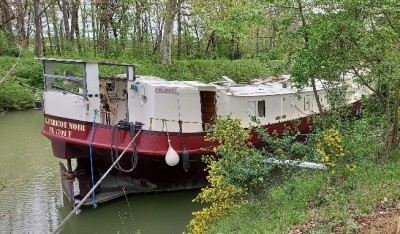 20250414_120031.jpg