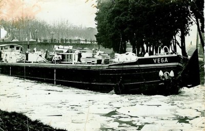 Vega2 104.jpg