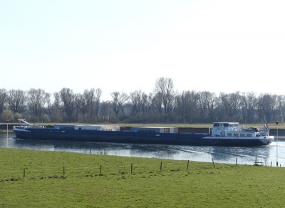Amira-1-20-03-2025-Grave.JPG