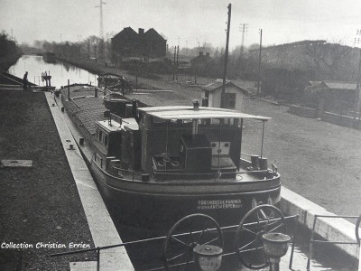 Porthos.JPG (231.46 Kio) Vu 730 fois Porthos.JPG