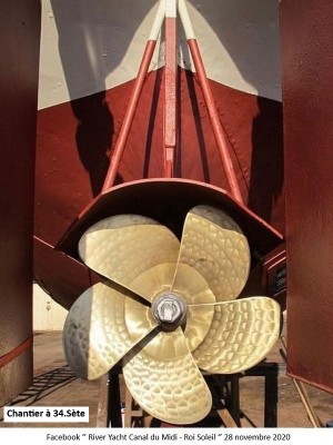 ROI SOLEIL Vagus 06.jpg