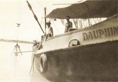 Dauphin101.jpg (144.01 Kio) Vu 2416 fois Dauphin101.jpg