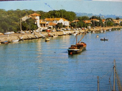 Dauphin103.jpg (351.01 Kio) Vu 2416 fois Dauphin103.jpg