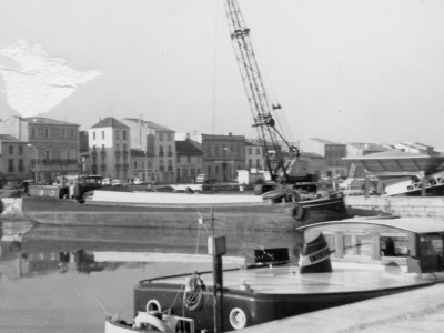 Nemo01.jpg