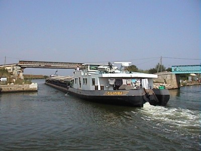 Calicoba04.JPG