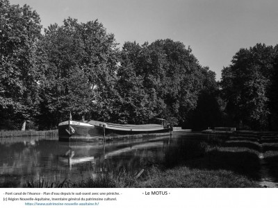 MOTUS ex Artisan Vagus 37.jpg (311.02 Kio) Vu 1319 fois MOTUS ex Artisan Vagus 37.jpg