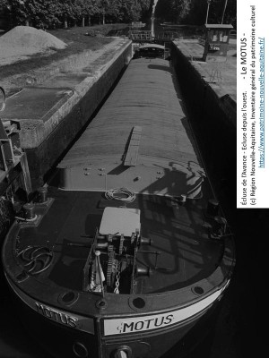 MOTUS ex Artisan Vagus 38.jpg (149.34 Kio) Vu 1319 fois MOTUS ex Artisan Vagus 38.jpg