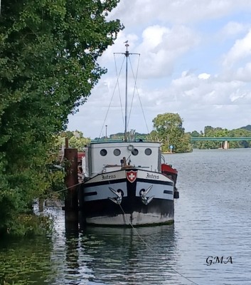 INTENS-av-vernon-2025_08_20.jpg (358.44 Kio) Vu 1287 fois INTENS-av-vernon-2025_08_20.jpg