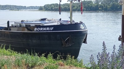 20250618_104756.jpg (191.73 Kio) Vu 204 fois 20250618_104756.jpg