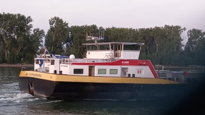 20250617_212954.jpg