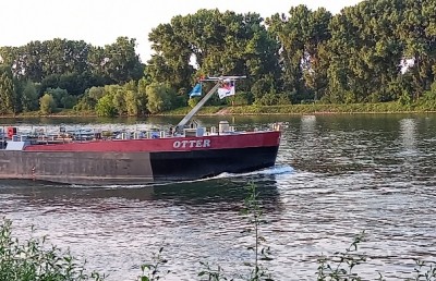20250617_204505.jpg