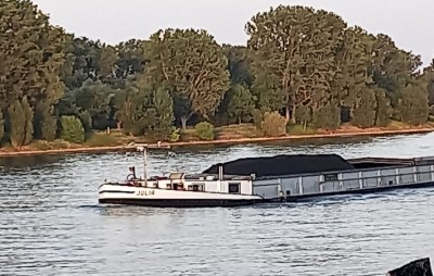 20250617_210146.jpg (146.68 Kio) Vu 388 fois 20250617_210146.jpg