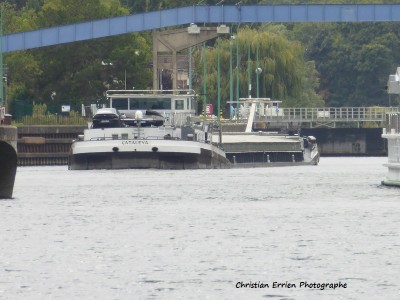 Cataleya Andresy.JPG (185.86 Kio) Vu 9204 fois Cataleya Andresy.JPG