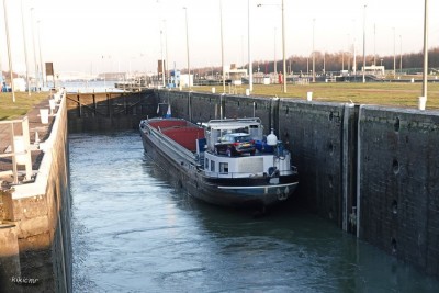 ALTERO Diepenbeek 2023 (4).jpg (185.92 Kio) Vu 9140 fois ALTERO Diepenbeek 2023 (4).jpg