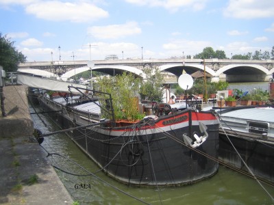 nenuphar-av.JPG (1.22 Mio) Vu 69 fois nenuphar-av.JPG