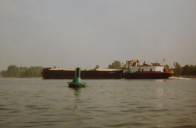 Romanee-Aout-1988.JPG (258.42 Kio) Vu 95 fois Romanee-Aout-1988.JPG