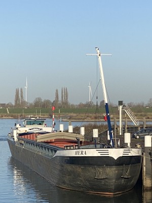Hera-28-12-2025-Zaltbommel.jpg
