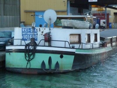 P1000584REI-DIA.jpg