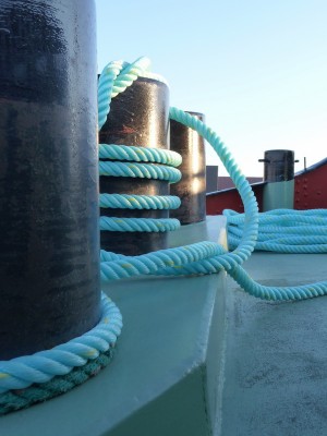 P1000568MINERVA.jpg (122.54 Kio) Vu 4648 fois P1000568MINERVA.jpg