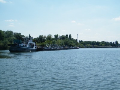 DSCF8952 [].JPG