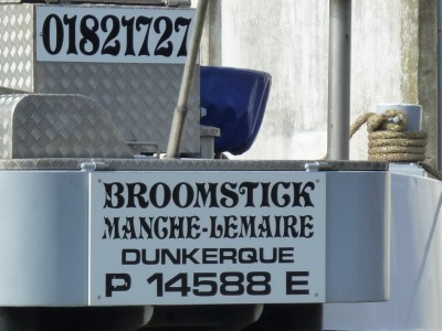 P1000706BROOMSTICK.jpg