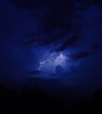 PICT1628ORANGE.jpg (78.77 Kio) Vu 2344 fois PICT1628ORANGE.jpg