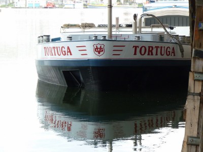 P1010852TORTUGA.jpg (120.96 Kio) Vu 1520 fois P1010852TORTUGA.jpg