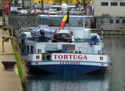 P1010842TORTUGA.jpg (178.27 Kio) Vu 1520 fois P1010842TORTUGA.jpg