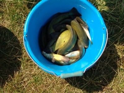 DSC01142.JPG (204.63 Kio) Vu 4152 fois DSC01142.JPG