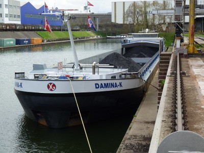 P1010825DAMINA-K.jpg