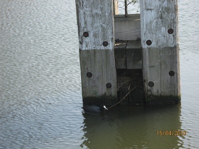 IMG_0937.JPG (205.4 Kio) Vu 5871 fois IMG_0937.JPG