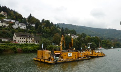 CHF.JPG