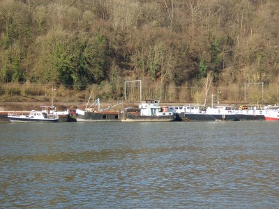 2008_0113x20044.JPG (254.81 Kio) Vu 3207 fois 2008_0113x20044.JPG