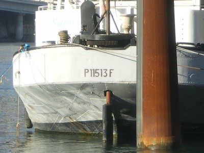 IMGP1131 [800x600].JPG