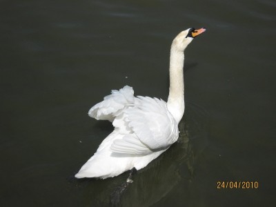 IMG_1004.JPG (90.04 Kio) Vu 5850 fois IMG_1004.JPG