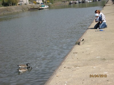 IMG_1000.JPG (218.76 Kio) Vu 5527 fois IMG_1000.JPG