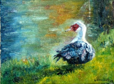 Lemoine_Canards de Barbarie³.jpg (162.97 Kio) Vu 4421 fois Lemoine_Canards de Barbarie³.jpg