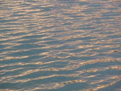 P1020423EAU.jpg