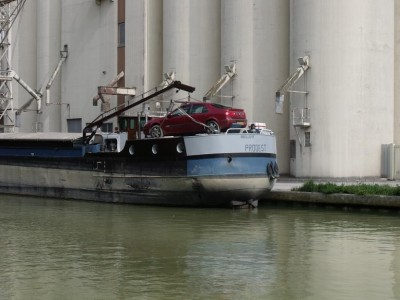 DSCF1952.JPG