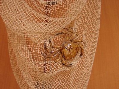 DSC06034.JPGA.jpg (161.95 Kio) Vu 4203 fois DSC06034.JPGA.jpg