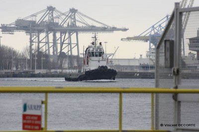 091224 238 - 800.jpg (87.79 Kio) Vu 2788 fois 091224 238 - 800.jpg